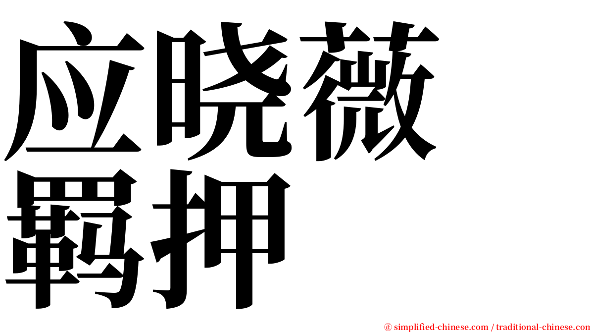 应晓薇　羁押 serif font